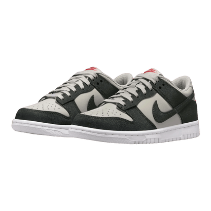 Nike Dunk Low Light Iron Ore White Gym Red Anthracite (GS) FZ1000-001