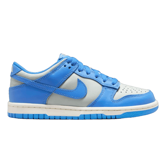 Nike Dunk Low Light Silver Sail Light Photo Blue (GS) FB9109-004
