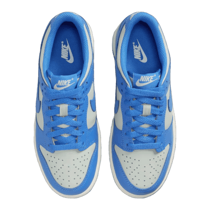 Nike Dunk Low Light Silver Sail Light Photo Blue (GS) FB9109-004