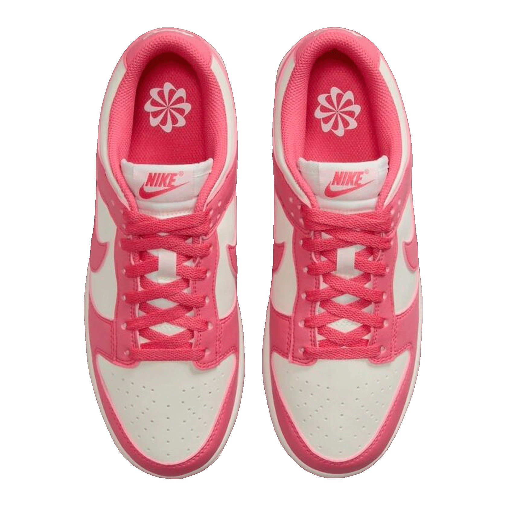 Nike Dunk Low Next Nature Aster Pink (W) DD1873-600