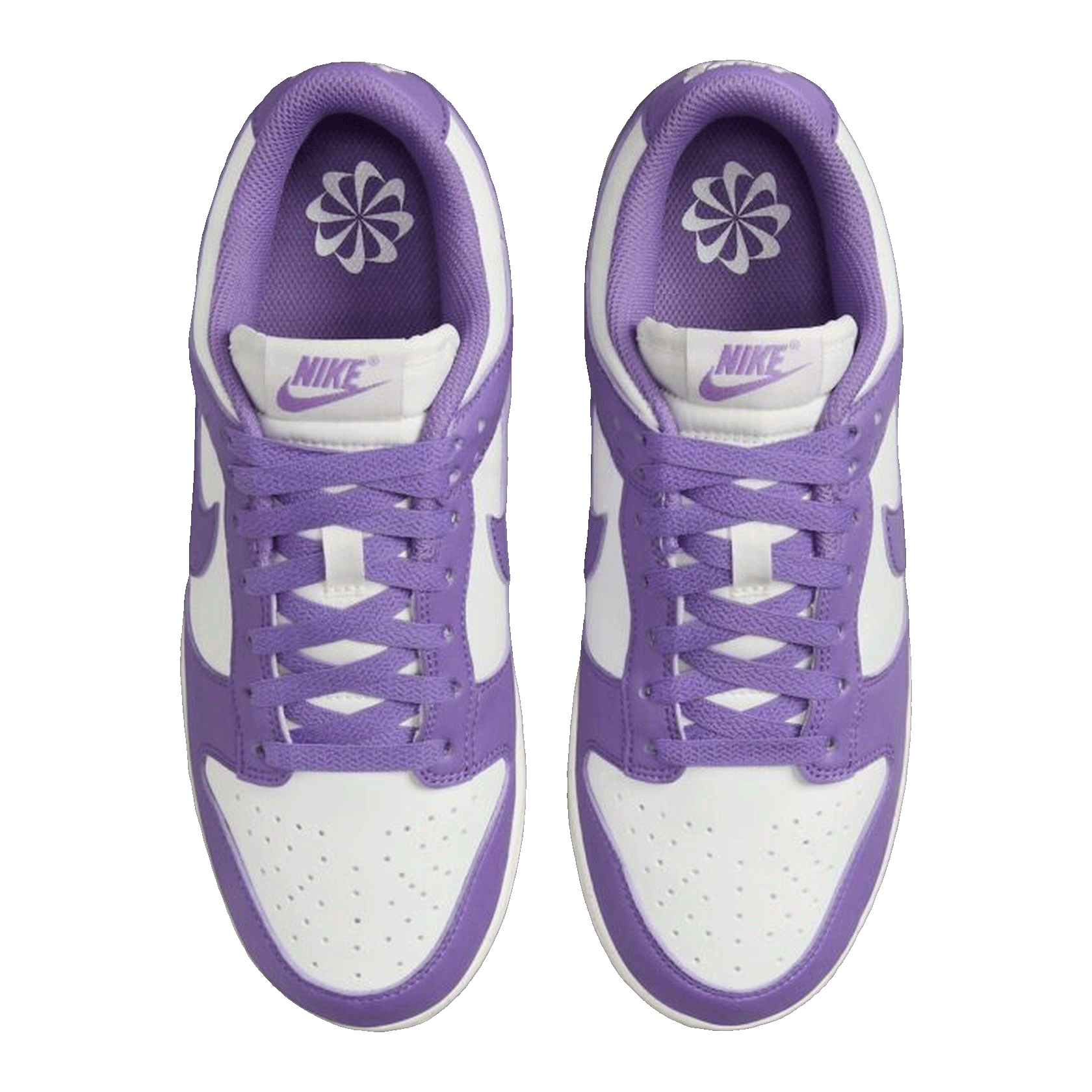 Nike Dunk Low Next Nature Black Raspberry (W) DD1873-108