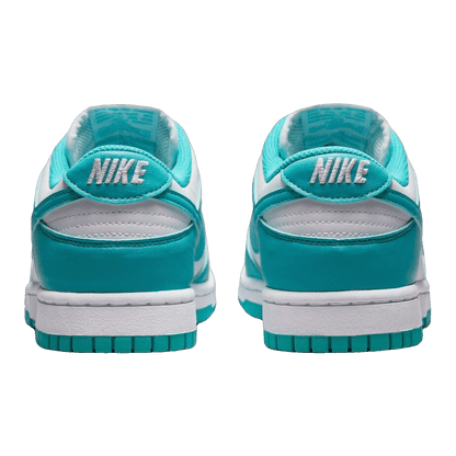 Nike Dunk Low Next Nature Dusty Cactus (W) Back DD1873-105