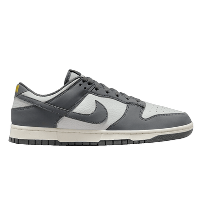 Nike Dunk Low Next Nature Iron Grey Lightning FZ4621-001