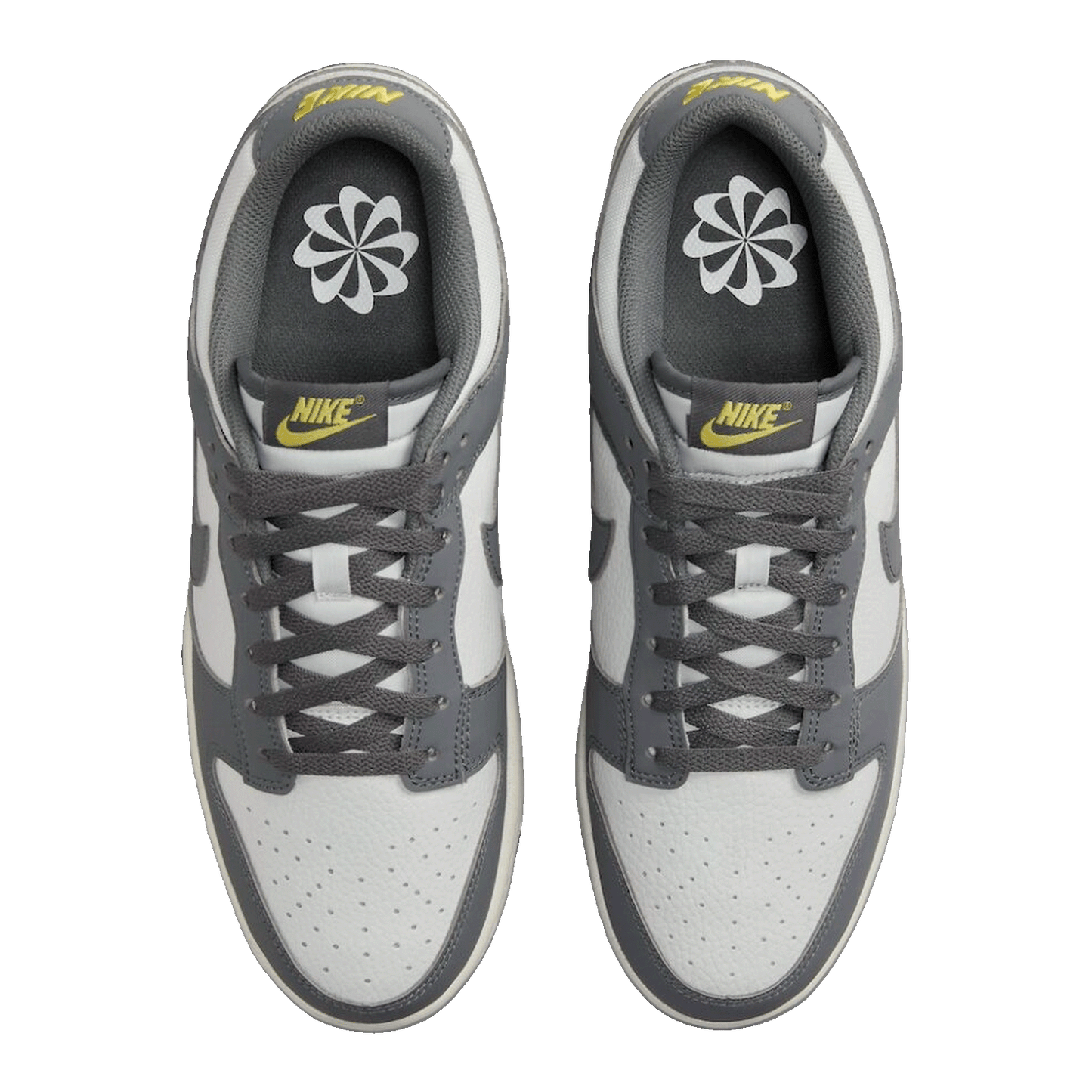 Nike Dunk Low Next Nature Iron Grey Lightning FZ4621-001