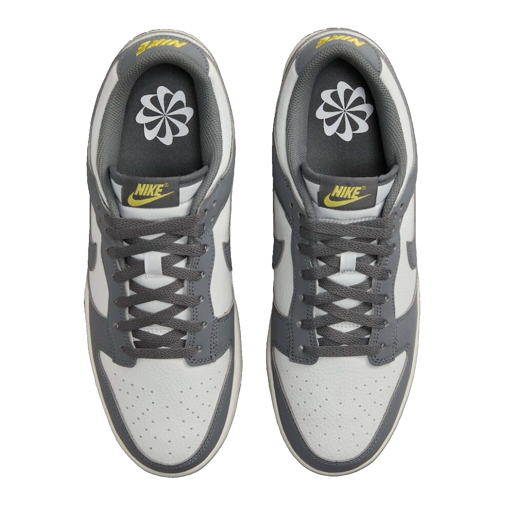 Nike Dunk Low Next Nature Iron Grey Lightning FZ4621-001