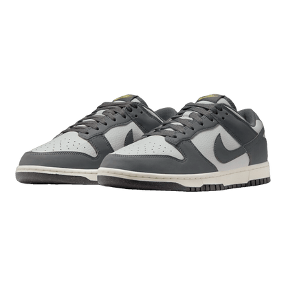 Nike Dunk Low Next Nature Iron Grey Lightning FZ4621-001