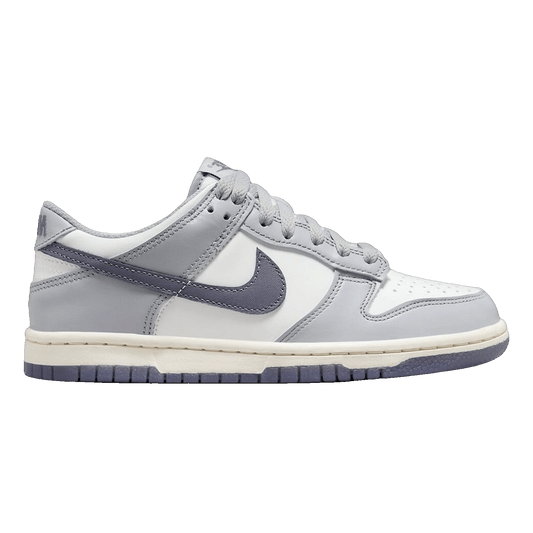 Nike Dunk Low Platinum Tint Light Carbon (GS) FB9109-101
