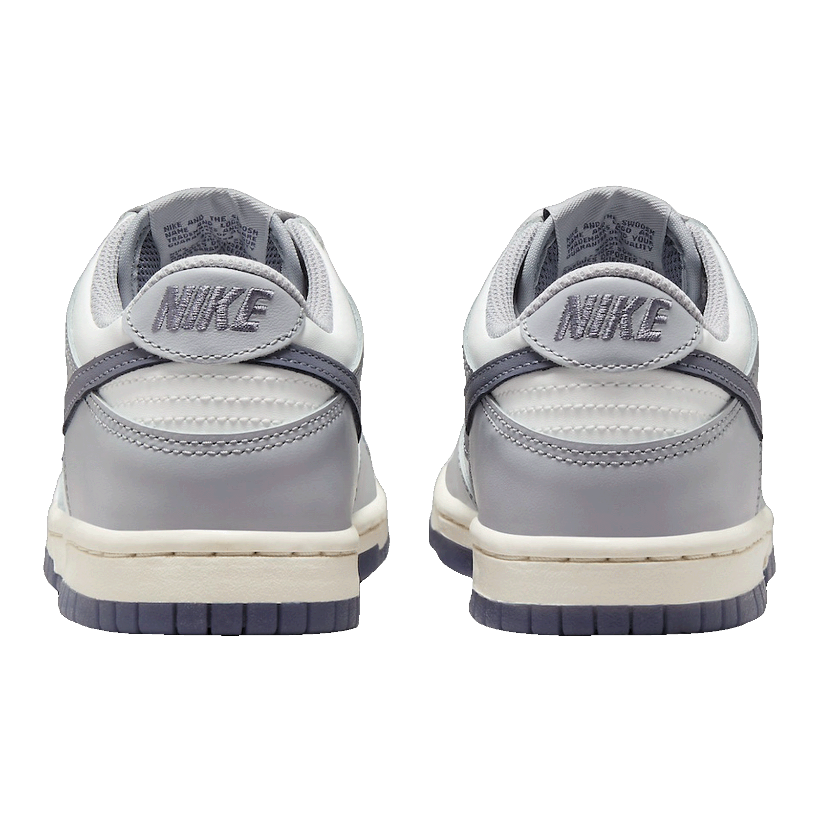 Nike Dunk Low Platinum Tint Light Carbon (GS) Back FB9109-101