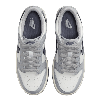 Nike Dunk Low Platinum Tint Light Carbon (GS) Oben FB9109-101
