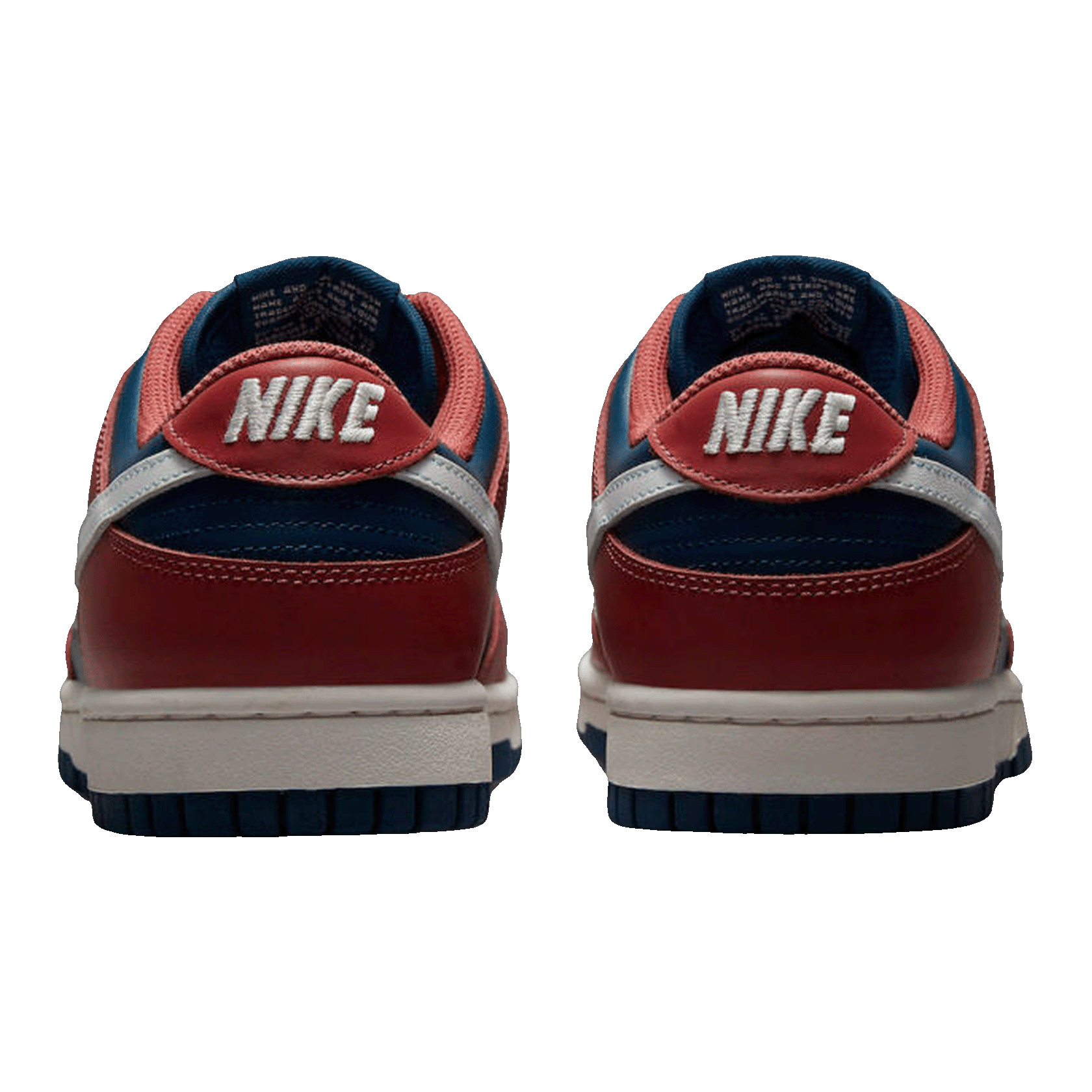 Nike Dunk Low Retro Canyon Rust (W) Back DD1503-602