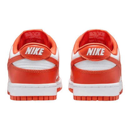 Nike Dunk Low Retro Cosmic Clay Back DV0833-114