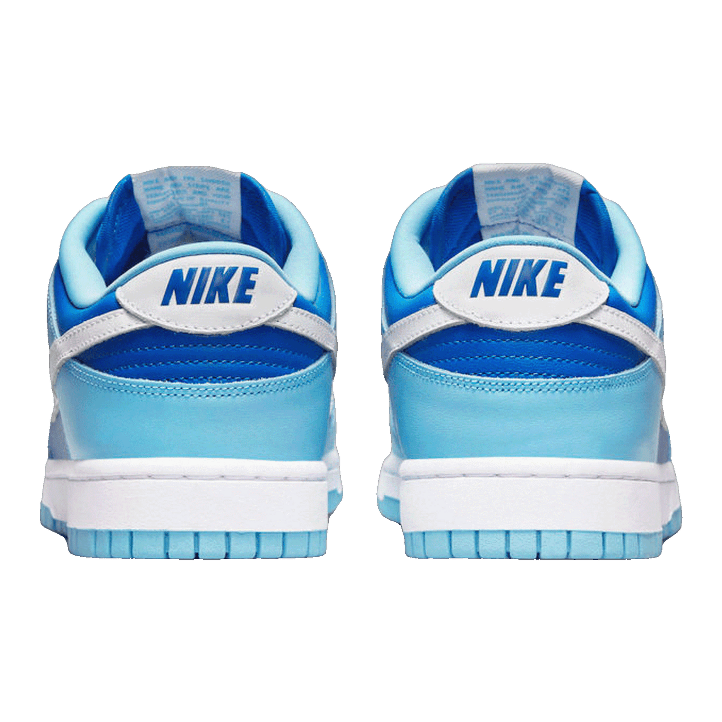 Nike Dunk Low Retro QS Argon (2022) Back DM0121-400