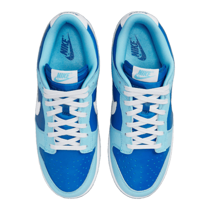 Nike Dunk Low Retro QS Argon (2022) Oben DM0121-400