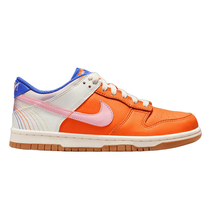 Nike Dunk Low SE Everything You Need (GS) FN0600-801