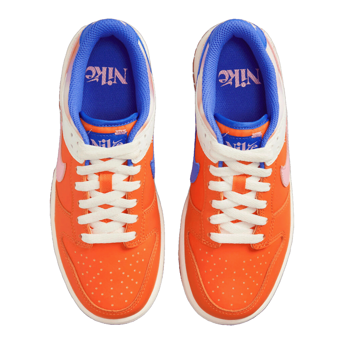 Nike Dunk Low SE Everything You Need (GS) Oben FN0600-801