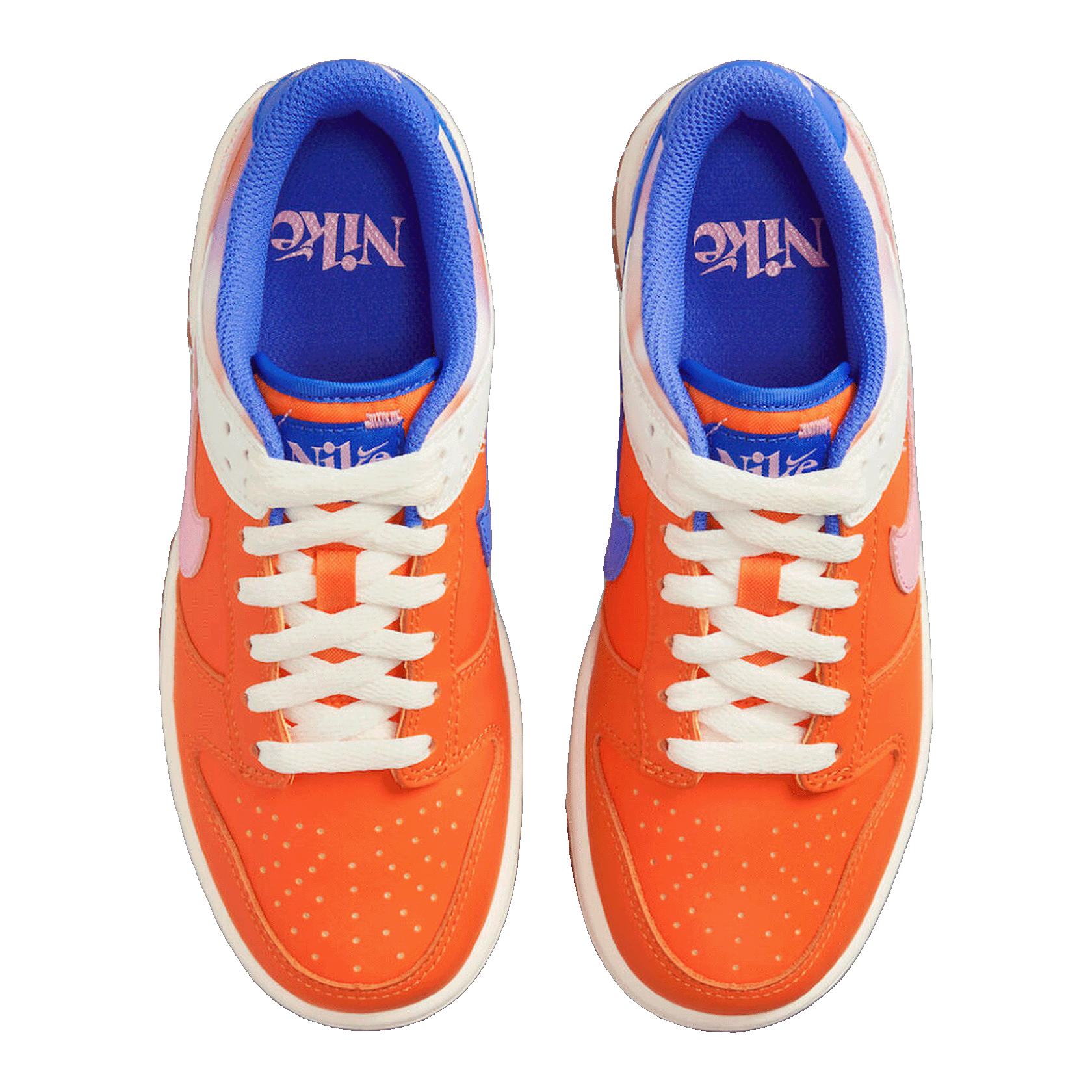 Nike Dunk Low SE Everything You Need (GS) Oben FN0600-801