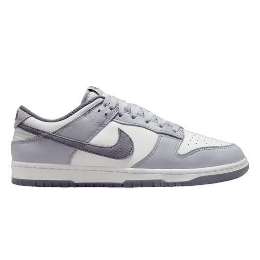 Nike Dunk Low SE Light Carbon FJ4188-100