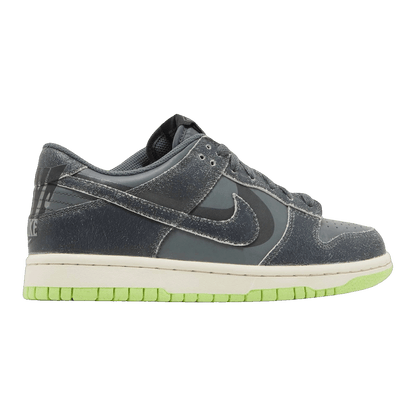Nike Dunk Low Swoosh Shadow Iron Grey (GS) DQ6215-001
