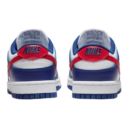 Nike Dunk Low USA (W) Back DD1503-119