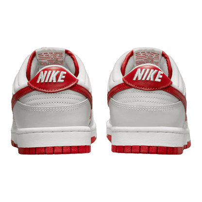 Nike Dunk Low Vast Grey Varsity Red FJ0832-011