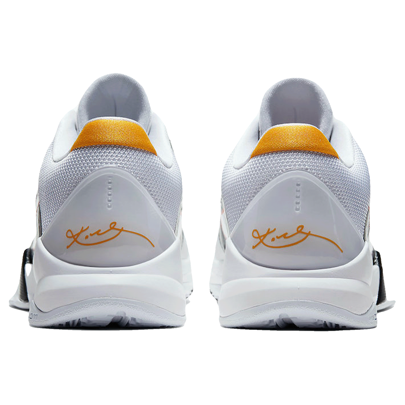 Nike Kobe 5 Protro Bruce Lee Alternate Back