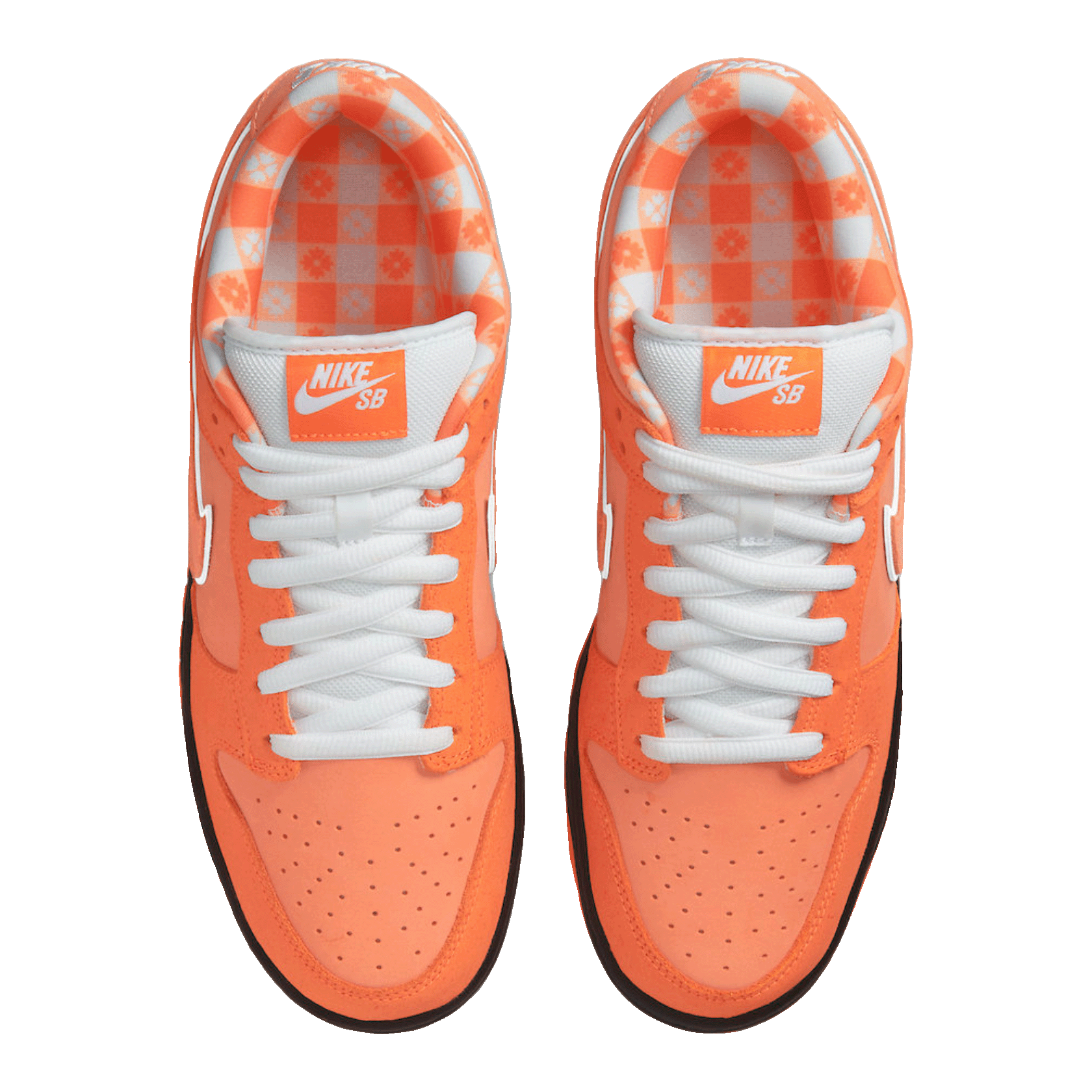 Nike SB Dunk Low Concepts Orange Lobster Oben