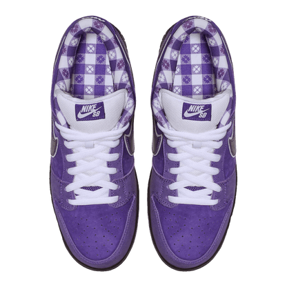 Nike SB Dunk Low Concepts Purple Lobster Oben
