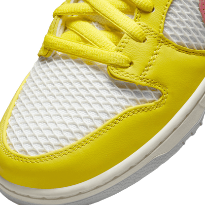 Nike SB Dunk Low Pro Be True Xavier Schipani Front