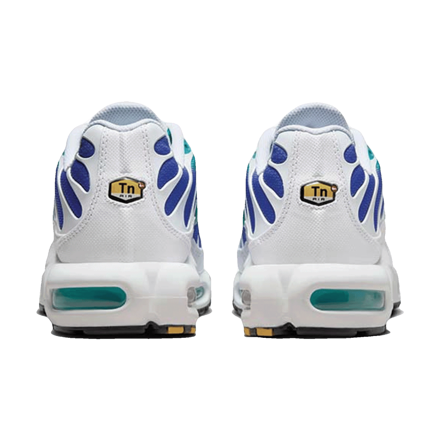 Nike TN Air Max Plus Aqua Back