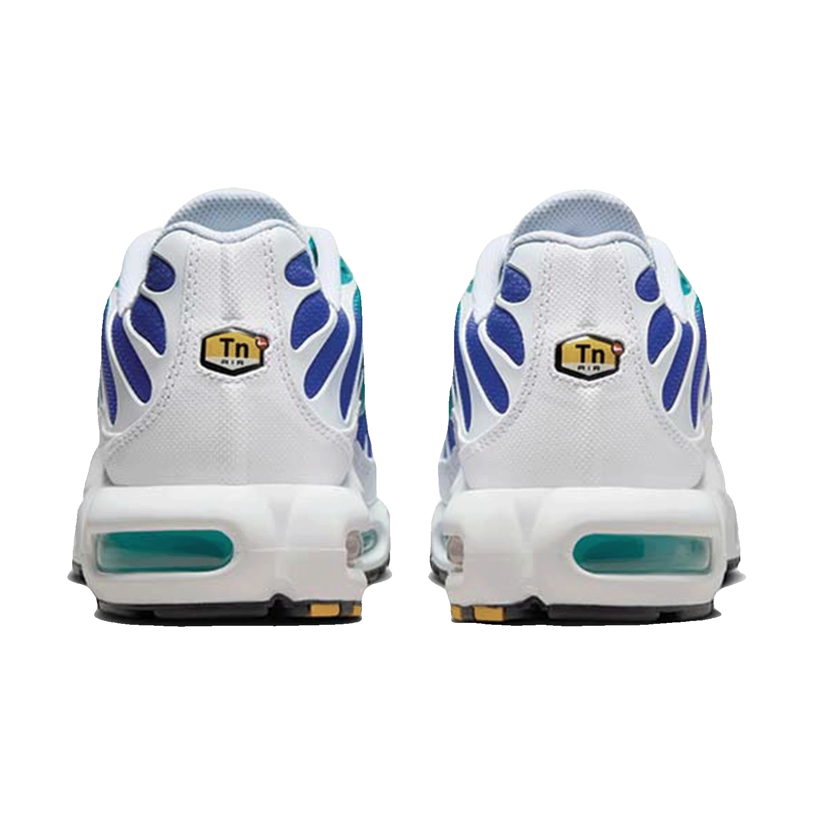 Nike TN Air Max Plus Aqua Back