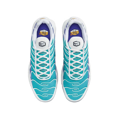 Nike TN Air Max Plus Aqua Oben