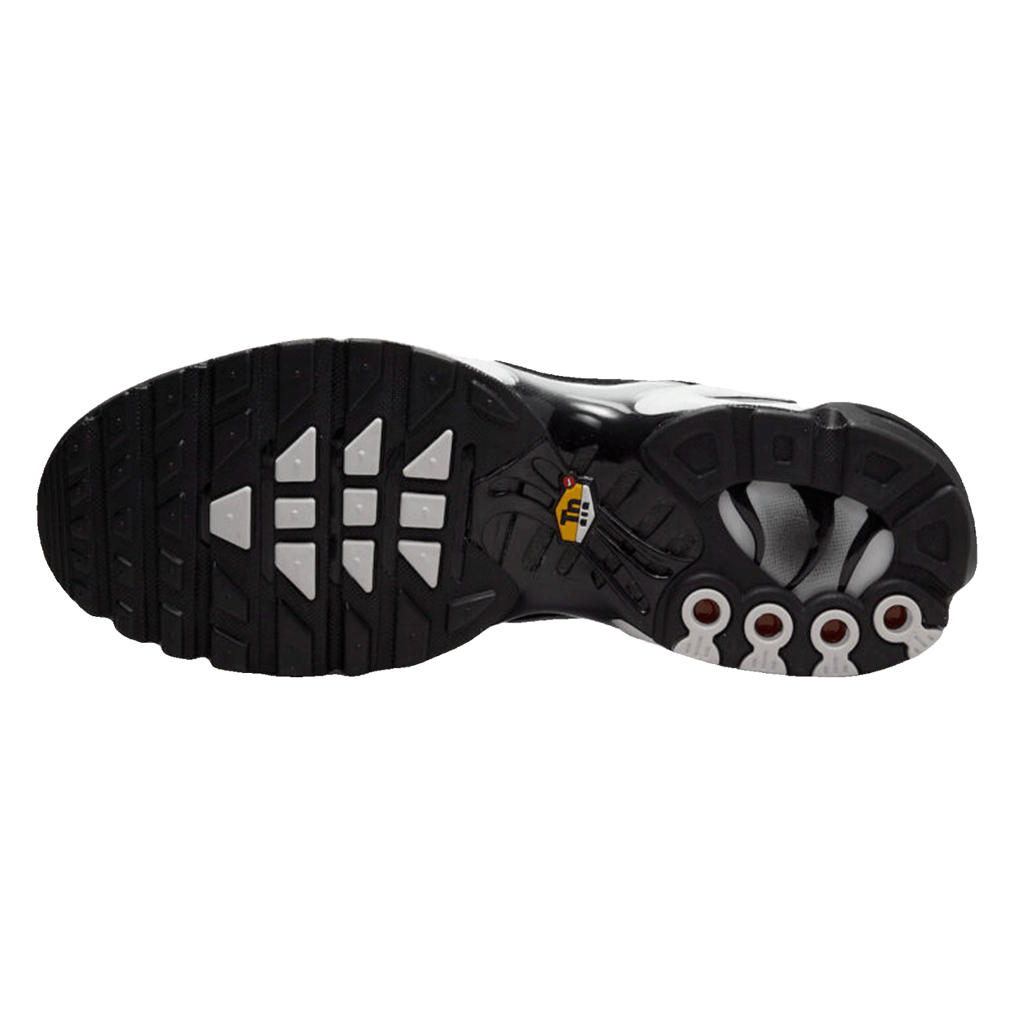 Nike TN Air Max Plus Black Silver White Sohle
