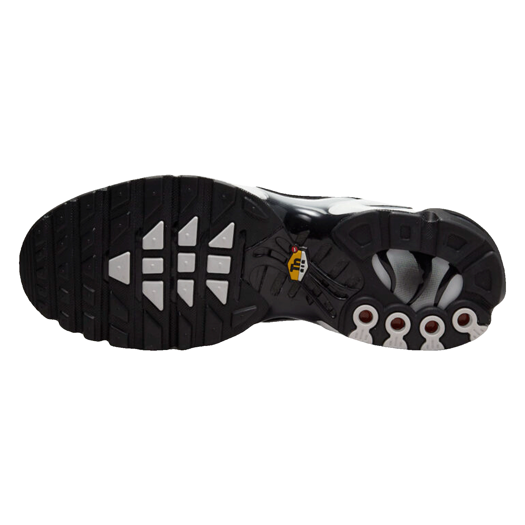 Nike TN Air Max Plus Black Silver White Sohle