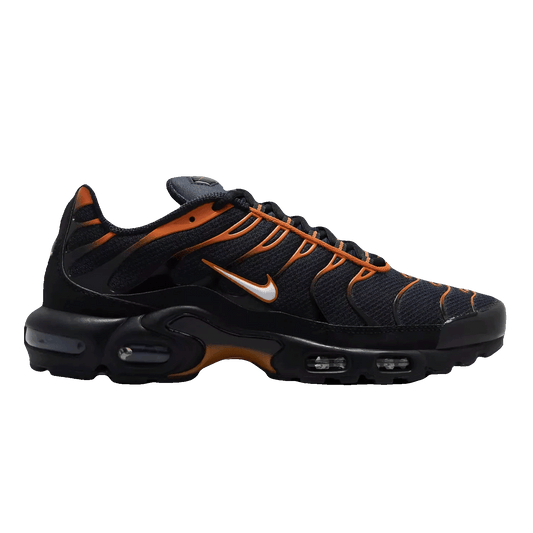 Nike TN Air Max Plus Dark Obsidian Monarch