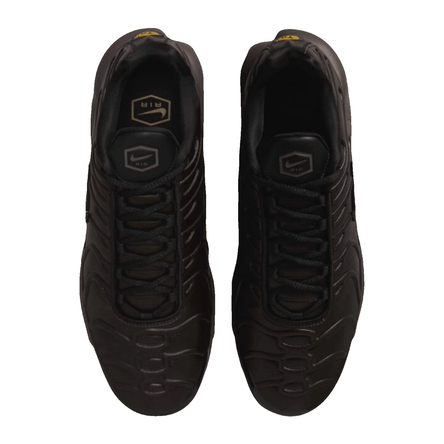 Nike TN Air Max Plus Premium Paris Oben