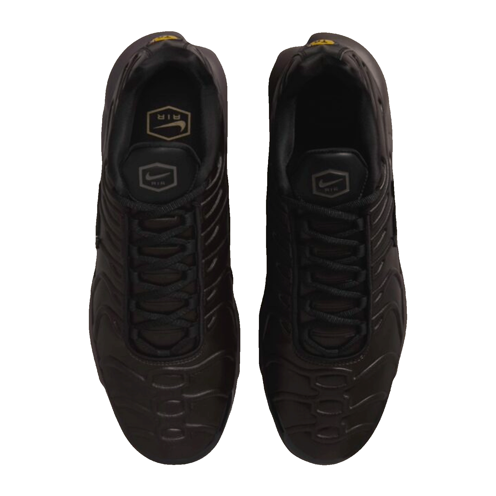 Nike TN Air Max Plus Premium Paris Oben