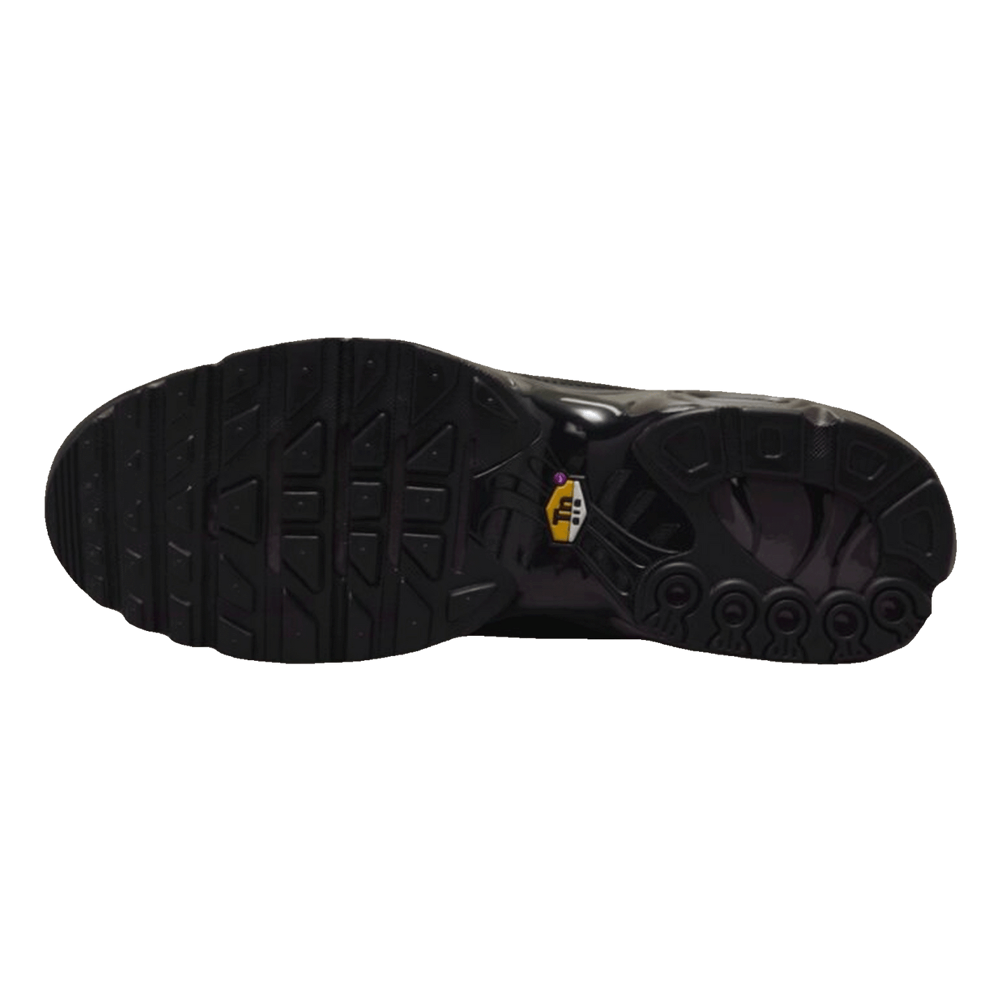 Nike TN Air Max Plus Premium Paris Sohle