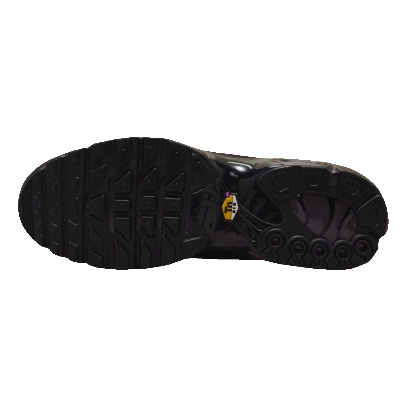 Nike TN Air Max Plus Premium Paris Sohle