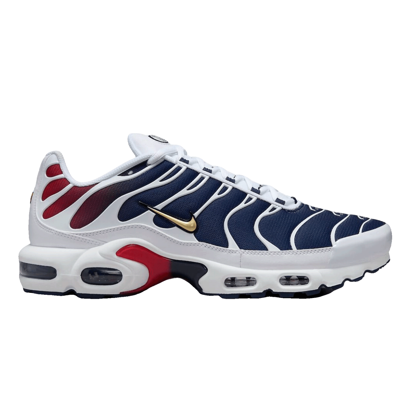 Nike TN Air Max Plus PSG