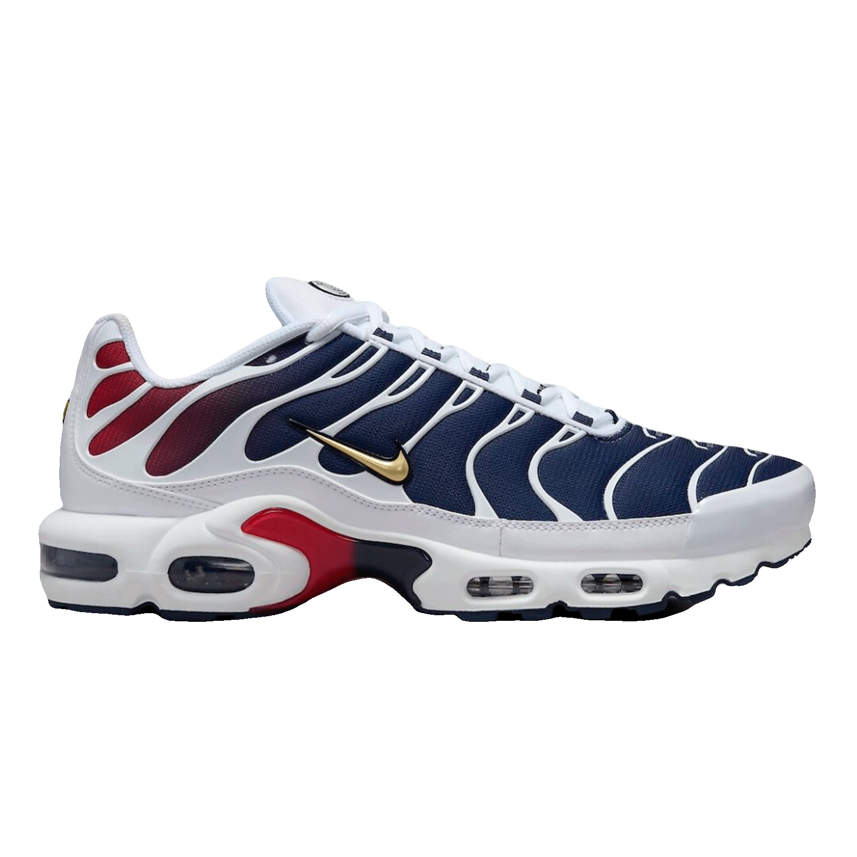 Nike TN Air Max Plus PSG