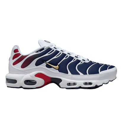 Nike TN Air Max Plus PSG