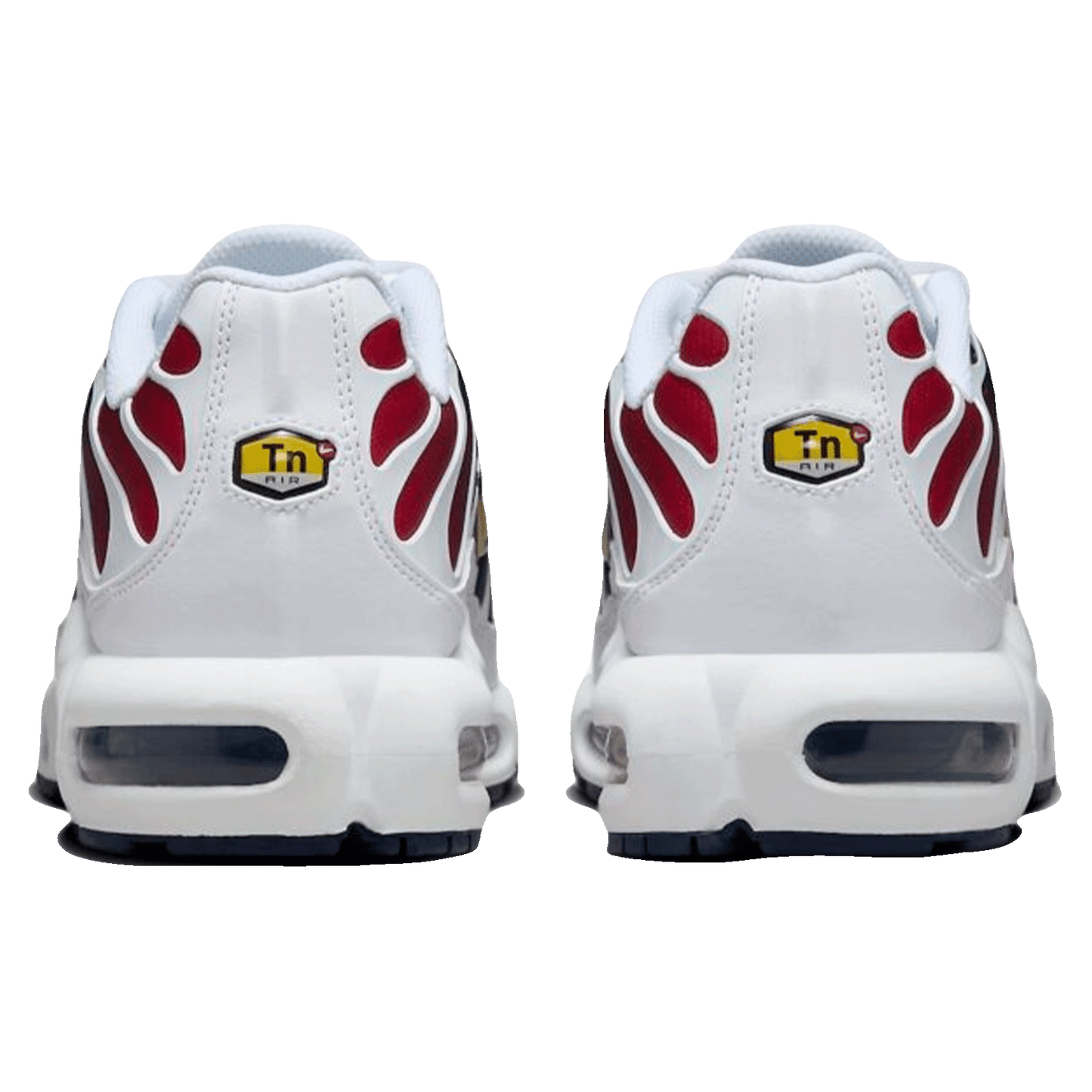 Nike TN Air Max Plus PSG Back