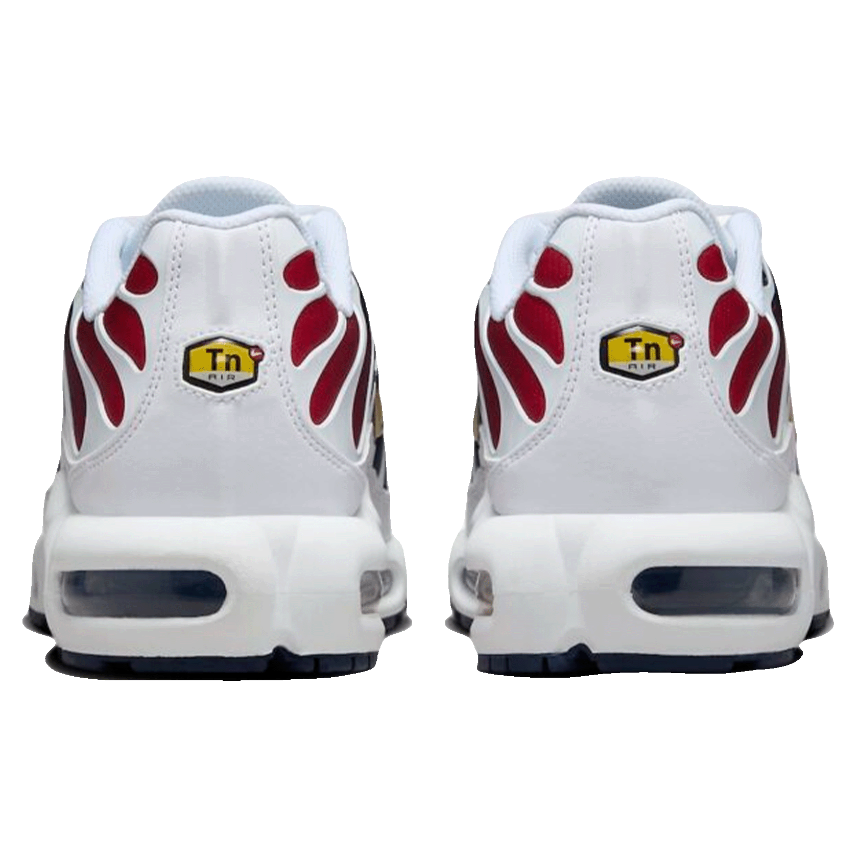 Nike TN Air Max Plus PSG Back