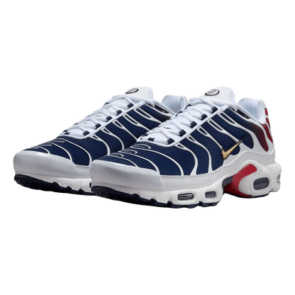 Nike TN Air Max Plus PSG Side