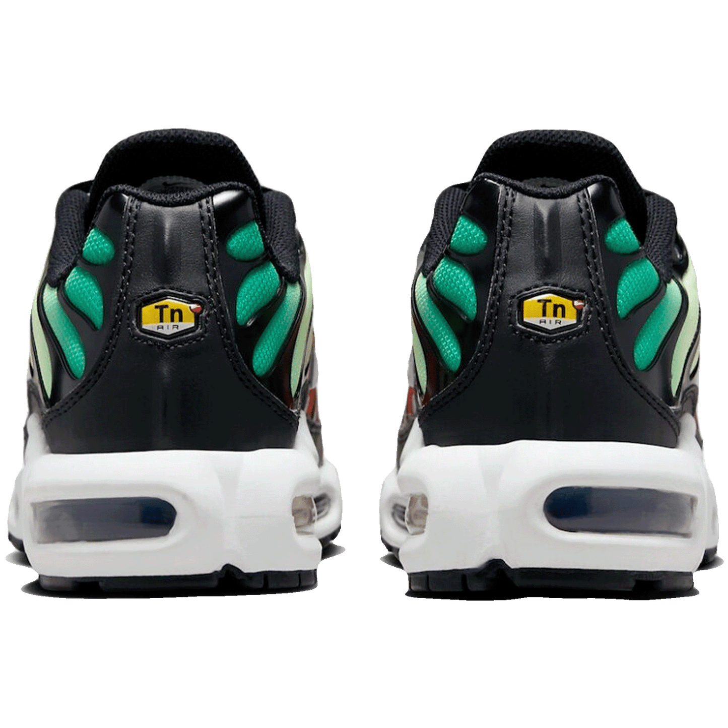 Nike TN Air Max Plus Rainbow (W) Back