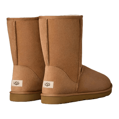 UGG Classic Short Boot Chestnut Back