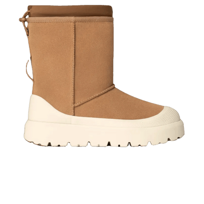 UGG Classic Short Weather Hybrid Boot Chestnut Whitecap