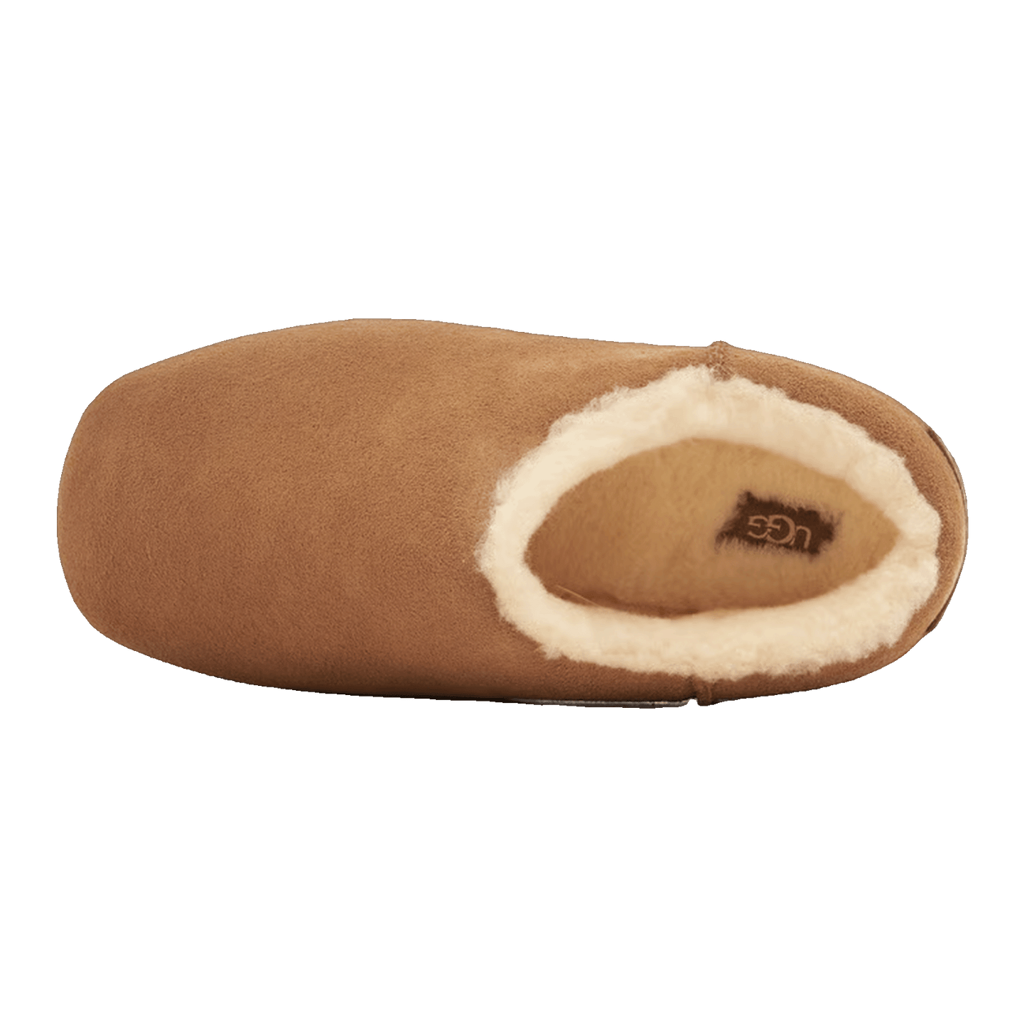 UGG Pumped Slide Chestnut (W) Oben