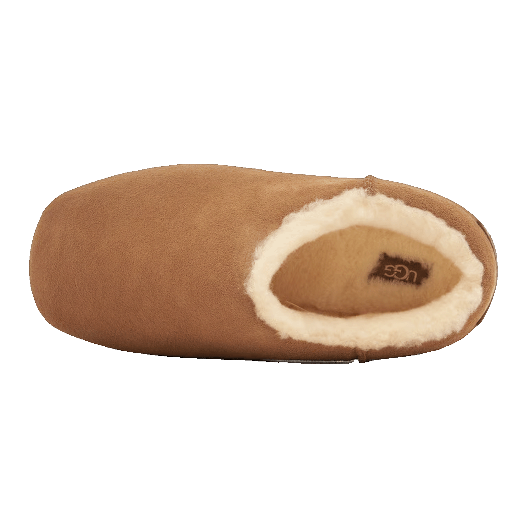 UGG Pumped Slide Chestnut (W) Oben