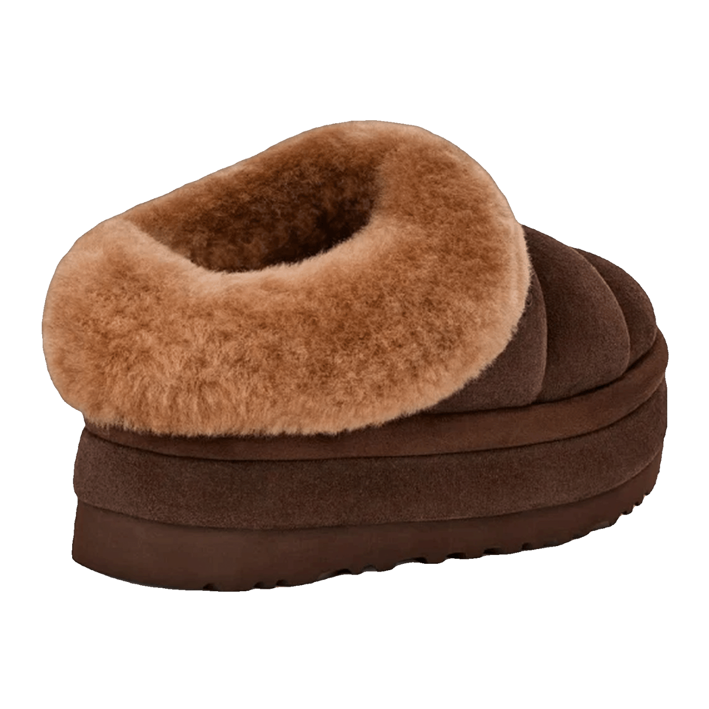 UGG Tazzlita Slipper Hardwood (W) Back